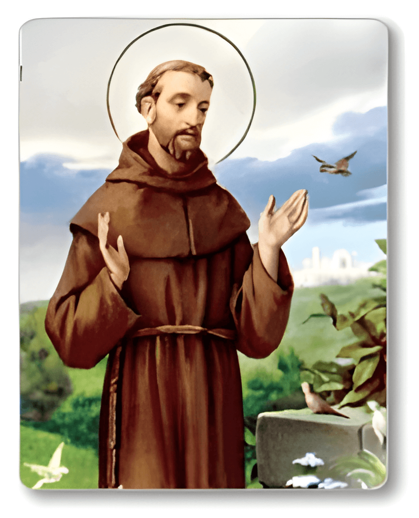 St Francis Image